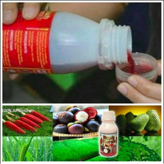 Buah Merah Mix- Essensa Natural